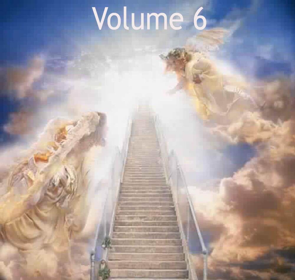 Volume 6
